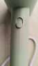 飛科（FLYCO）博銳電吹風(fēng)機吹頭發(fā)家用大功率不傷發(fā)便攜護發(fā)吹風(fēng)筒女士宿舍用京東自營(yíng) 國家補貼 翡翠綠PH1628 曬單實(shí)拍圖
