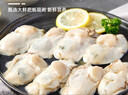海鼎紀冷凍生蠔肉800g (400g*2)  牡蠣肉 火鍋燒烤食材海鮮生鮮 曬單實(shí)拍圖