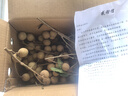【帶枝保鮮】瀘州桂圓龍眼新鮮現摘現發(fā)清甜多汁肉厚飽滿(mǎn)當季水果 5斤禮盒裝 曬單實(shí)拍圖