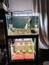 尼奧光 NEO-HELIOS魚缸燈水草燈LED燈S3proRGB植物光譜 13W新款尼奧S3pro+【高亮自然版雙倍亮度】 曬單實(shí)拍圖