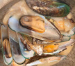 海鮮世家 新西蘭熟凍原汁全殼青口貝凈含量1kg 21-26只/袋 原裝進(jìn)口 海鮮 曬單實(shí)拍圖