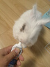 DR BUNNY兔博士兔子化毛膏營養(yǎng)膏排毛乳酸菌益生菌博衛(wèi)健龍貓保健品倉鼠 木瓜排毛膏化毛膏50g 曬單實拍圖