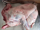 今友生活內蒙羊肉 原切全羊整只凈重20斤羔羊 生鮮羊肉 燉煮燒烤 源頭直發(fā) 曬單實(shí)拍圖