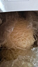 灣琴河 東莞米粉1500g 廣東米粉米線(xiàn)炒米粉新竹米粉河源米粉粉干粉絲 曬單實(shí)拍圖