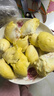 鮮惠源 泰國進(jìn)口榴蓮鮮果 精選榴蓮新鮮水果 軟糯香甜 榴蓮 凈重3-4斤金枕榴蓮（包三房） 曬單實(shí)拍圖