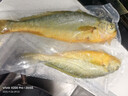 鮮喜利舟山大黃魚(yú)禮盒深海黃花魚(yú)鮮活冷凍生鮮海鮮年貨禮包新鮮水產(chǎn)商用 2條無(wú)禮盒（單條凈重1斤） 曬單實(shí)拍圖
