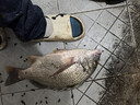 漁之源可調節地插炮臺座魚(yú)竿支架座炮臺桿架插地架竿器釣魚(yú)1個(gè)裝 曬單實(shí)拍圖