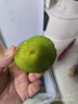 京覓江山徐香獼猴桃 10-12粒 凈重2斤 單果90g+ 綠心奇異果 源頭直發(fā) 曬單實拍圖