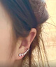 伊燦日韓輕奢鋯石耳釘女小眾設計高級感耳環(huán)2025新款爆款氣質(zhì)個(gè)性耳飾 日韓輕奢鋯石耳釘女 曬單實(shí)拍圖