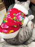 OSKV寵物唐裝衣服秋冬款加絨保暖狗狗貓咪小型犬小貓大花棉襖新年衣服 東北大花棉襖 L碼【約7-9斤】 曬單實(shí)拍圖