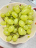 南步河北宣化牛奶葡萄【順豐空運】馬奶提子美人指懷來(lái)葡萄新鮮水果 【馬奶葡萄】4斤 精品果 曬單實(shí)拍圖