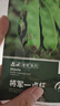 壽禾 油豆角種子苗東北寬蕓豆秋冬蔬菜種籽 將軍一點(diǎn)紅油豆種子50粒 曬單實(shí)拍圖