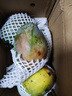 京鮮生 攀枝花凱特芒果 凈重8.5斤 帶箱9斤 單果400g+ 生鮮水果源頭直發(fā) 曬單實(shí)拍圖