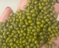 京覓綠豆3斤 雜糧 京東自營(yíng)綠豆（可發(fā)綠豆沙粥）新綠豆夏日解暑 曬單實(shí)拍圖