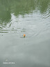 沃鼎王者神劍三代釣魚(yú)竿碳纖維超輕鯽魚(yú)竿大物竿魚(yú)桿臺釣竿5.4米 5.5H 曬單實(shí)拍圖