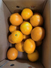 京鮮生 江西贛南臍橙 凈重8斤 單果150g+ 新鮮水果 源頭直發(fā)包郵 曬單實(shí)拍圖