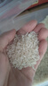 國寶橋米油粘米10斤長(cháng)粒大米 湖北魚(yú)米之鄉煲仔飯用米好吃南方秈米新米 曬單實(shí)拍圖