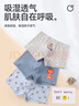 貝瑞加（Babyprints）男童內褲3條裝中大童棉質(zhì)短褲幼兒園寶寶平角褲衩小男孩四角褲120 曬單實(shí)拍圖