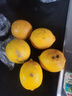 安岳新鮮黃檸檬新鮮水果皮薄多汁產(chǎn)地直發(fā)一級鮮果包郵奶茶店泡水 2斤裝 單果50克+ 曬單實(shí)拍圖