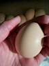 散養農家土雞蛋草雞蛋40-50g 溏心蛋早餐新鮮雞蛋京東包郵買(mǎi)菜 10枚土雞蛋 曬單實(shí)拍圖