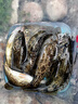 川澤高端競技線(xiàn)組成品主線(xiàn)組PE加固配件全套魚(yú)線(xiàn)主線(xiàn)綁好黑坑大物線(xiàn)組 5.4米PE加固線(xiàn)組(3卷裝) 2.0號 曬單實(shí)拍圖