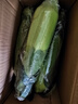 京鮮生&佳農寶菜山東新鮮水果玉米健康輕食玉米4-6根4.5斤裝源頭直發(fā) 曬單實(shí)拍圖