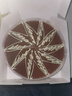 安特魯七哥提拉米蘇850g 10片 生日蛋糕動(dòng)物奶油 休閑聚會(huì )下午茶甜品糕點(diǎn) 曬單實(shí)拍圖