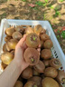九牧（JOMOO）花灑噴頭浴室增壓出水手持花灑頭 【三功能】S260033-2B01-1 曬單實(shí)拍圖