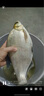 小鳳仙理想線(xiàn)組釣魚(yú)主線(xiàn)組進(jìn)口魚(yú)線(xiàn)套裝3卷成品尼龍主線(xiàn)3.6m1.5號 曬單實(shí)拍圖