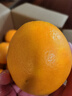 京鮮生 江西贛南臍橙 凈重8斤 單果150g+ 新鮮水果 源頭直發(fā)包郵 曬單實(shí)拍圖