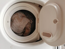 萬(wàn)家能雙倉內衣洗衣機渦輪全自動(dòng)洗烘一體迷你小型雙桶艙內衣內褲專(zhuān)用洗衣機洗襪子高溫家用脫水機清洗機 【洗脫煮洗】96℃煮洗|UVC銀離除菌|不銹鋼內桶 曬單實(shí)拍圖