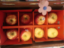 愛(ài)妃 新西蘭蘋(píng)果特級果8粒裝禮盒單果200g起 水果禮盒 源頭直發(fā) 曬單實(shí)拍圖