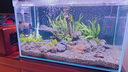 老漁匠魚(yú)缸加熱棒自動(dòng)恒溫變頻省電控溫器熱帶魚(yú)加溫棒家用養魚(yú)離水斷電 智能精準控溫100W（適合40cm魚(yú)缸） 曬單實(shí)拍圖