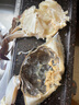 舟山梭子蟹鮮活特大野生大螃蟹新鮮冷凍海鮮水產(chǎn)海蟹飛蟹白蟹 凈重3-5兩/只【10只 碼頭直采】 曬單實(shí)拍圖