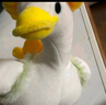 伊美娃娃花鴨鴨小鴨子玩偶公仔毛絨玩具娃娃送女孩女生萬(wàn)圣節禮物生日禮物 曬單實(shí)拍圖