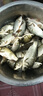 40付進(jìn)口魚(yú)鉤金袖伊豆伊勢尼短子線(xiàn)雙鉤綁好有無(wú)刺成品防纏繞精綁 金袖有刺鉤3/4+線(xiàn)0.6/0.8各20付 到手40付 曬單實(shí)拍圖