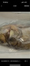 鮮喜愛(ài) 冷凍千島湖有機鰱魚(yú)頭1.5斤 白鰱魚(yú)頭  生鮮魚(yú)類(lèi) 海鮮水產(chǎn) 曬單實(shí)拍圖