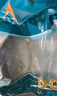 翔泰海南深海金鯧魚(yú)700g 2條 火鍋 生鮮魚(yú)類(lèi) BAP認證 海鮮水產(chǎn)  曬單實(shí)拍圖