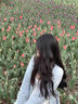 蝶嬌諾（DIEJIAONUO）衛(wèi)衣女2025年秋季女裝新款穿搭女套裝小香風鹽系氣質(zhì)顯瘦港風休閑 開衫+內(nèi)搭+褲子 S 曬單實拍圖
