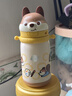 babycare兒童保溫杯嬰兒小松鼠寶寶1-3歲不銹鋼吸管水杯壺學(xué)生上學(xué)450ml 曬單實(shí)拍圖