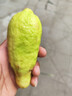 新鮮無(wú)籽青檸檬 果香濃郁小青檸香水檸檬檸檬茶鮮檸檬 香水青檸檬【單果≥60g】1斤 曬單實(shí)拍圖