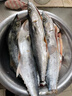 小早川日本原裝進(jìn)口PE線(xiàn)魚(yú)線(xiàn)順滑遠投耐磨打黑線(xiàn) 進(jìn)口12編150米 1.2號 曬單實(shí)拍圖