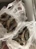 鮮京采 厄瓜多爾白蝦 凈重3斤/盒 特大號20-30規格   30-45只/盒 曬單實(shí)拍圖