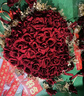 加仕高婚車(chē)裝飾車(chē)頭花主車(chē)結婚頭車(chē)花高級花車(chē)布置婚禮車(chē)隊拉花新款全套 曬單實(shí)拍圖