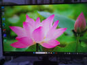 飛利浦（PHILIPS）27英寸4K IPS 10bit HDR 99.9%sRGB 愛(ài)眼低藍光 窄邊框 專(zhuān)業(yè)設計屏辦公顯示器 27E2N1800 曬單實(shí)拍圖