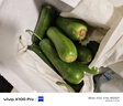 京喜加新鮮無(wú)刺水果小黃瓜小青瓜脆甜荷蘭脆嫩生吃黃瓜蔬菜 水果黃瓜 3斤 帶箱 曬單實(shí)拍圖