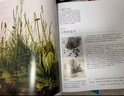 DK植物大百科（新版）典藏級植物圖譜 探索植物秘密 京東自營(yíng)正版 曬單實(shí)拍圖