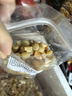 干貝/瑤柱/干扇貝丁  淡干無(wú)鹽   9成干 可即食 實(shí)惠款【500g約350粒左右】 曬單實(shí)拍圖