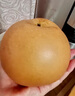 京鮮生山東煙臺萊陽(yáng)秋月梨凈重3斤單果250g+ 新鮮水果 源頭直發(fā)包郵 曬單實(shí)拍圖