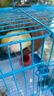 喜帥 椰殼鳥(niǎo)窩 虎皮鸚鵡鳥(niǎo)窩打洞保暖椰子殼窩牡丹鳥(niǎo)巢鳥(niǎo)籠配件用品 曬單實(shí)拍圖